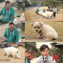 밍키 파이낸셜뉴스