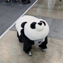 DSK | DSK2026 후기