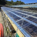 용인한우농장 이미지