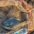 뉴환상민박 이미지