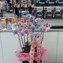 대학당약국 이미지