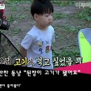 삼둥이반찬 이미지