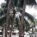 호텔카이 이미지