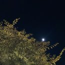 풍천뻘장어 | 가기 좋은 실패없는 파주 장어 전문점 '풍천뻘장어’ 추천👍🏻후기(밑반찬맛있음/장어상태좋음/주차장넓음)