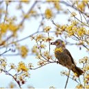 화수분농장 이미지