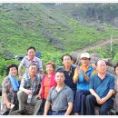 금보농장 이미지