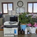 금지면 방촌마을 이미지