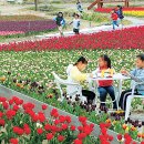 임자초등학교 이미지