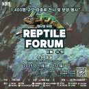 수원-1136 네이버블로그