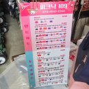 반포한강공원 텐트 피크닉109 돗자리 대여 인싸세트 + 오아라운드프로 캠핑선풍기 후기