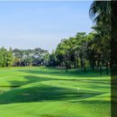 웅포컨트리클럽 이미지