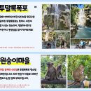 세친구투어 이미지