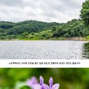 두메낚시터 이미지