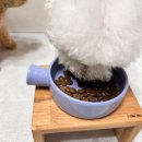 JB행복농장 | 아카나 라이트앤피트 강아지 사료 후기