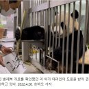 [속보] 러바오, 발레복 입혀진 자신의 모습에 충격 이미지