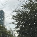 해양레포츠센터 화장실 | 울주해양레포츠센터 D3 우중캠 후기