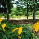 김종대 “TV토론, 김문수·이준석 후벼 파버리겠다! 제가 ‘권영국 TV토론 단장’” “고성국 봐, 극우 유튜버는 범내란세력” 이미지