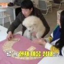 하랑커뮤니케이션