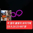 보성체육관 네이버블로그