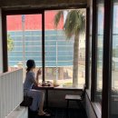 안월선민박;제주 | jeju day.2