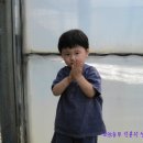 기훈농장 이미지