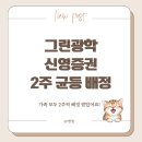 포인트광학 | 그린광학 공모주 청약 후기 - 우리 가족 모두 2주씩 배정받았어요!