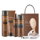 세이헤어 이미지