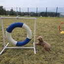 펜션 포레스트 이미지