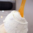 할타보카 네이버블로그