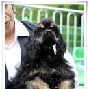 고양고등학교 이미지