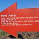제주시 조천읍 북촌리 [창꼼바위] 이미지