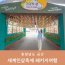 로망스 | 국내 당일치기 버스여행 충남 금산 가볼만한곳 세계인삼축제 국내여행패키지 로망스투어 후기