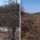 삼웅1리 티스토리