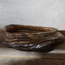 야생화은희화분
