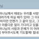 뚱땡이야채과일