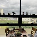 수연칼국수 | 호매실 수육 칼국수 맛집, 수연해물샤브손칼국수 후기