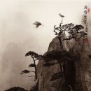 돈홍 Daum카페