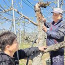 지씨대구