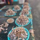 (구)청호시장 이미지