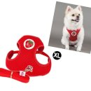 천사 애견 이미지