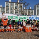 순천 나무숲 이미지