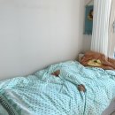 학생슈퍼 | 일룸 키즈 침대 수납장 티에드 SS 솔직 후기 + 초등학생 슈퍼싱글 추천!