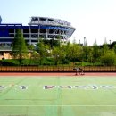 월드컵인라인스케이트장 이미지