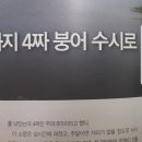 광주황금빛붕어 회원분들께 진심으로 사과드립니다. 이미지