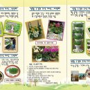 자연2 태양광발전소 이미지