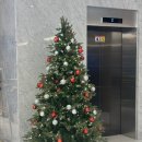 비스타 말(VISTA MAR) | 부산 명지 VISTA MAR(비스타말) – 대형 수족관 있는 명지 베이커리카페 / 주차·메뉴·내부리뷰