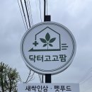 닥터고고펫