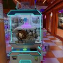 인형뽑기방 이미지