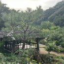 산골초가펜션 이미지