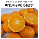 진홍농장 이미지